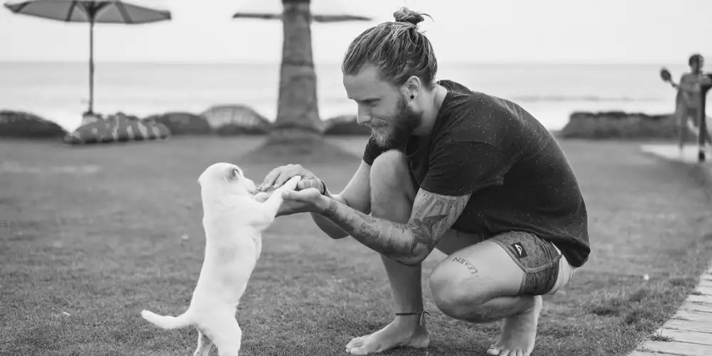 Human-Animal Bond