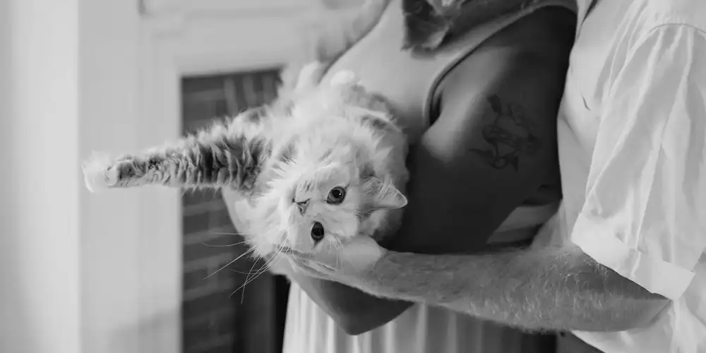 Human-Animal Bond