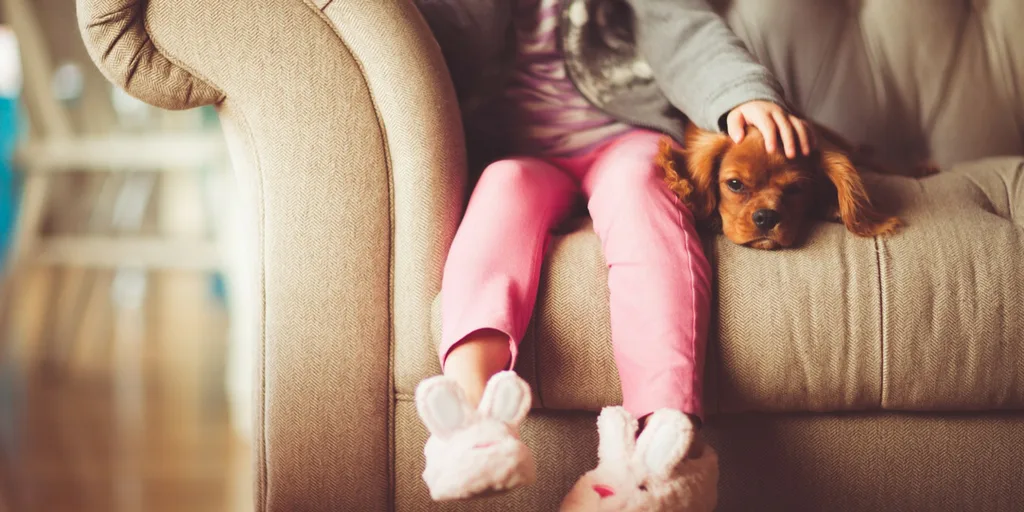 Facts About Dogs