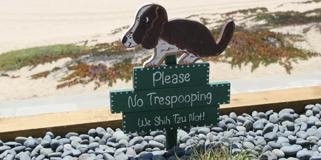 Facts About Dogs