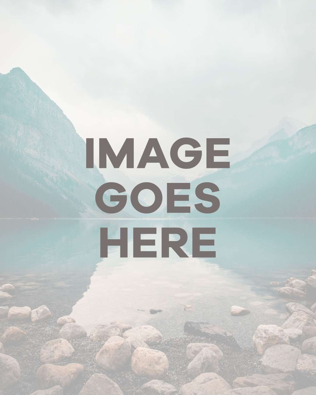 Can Dogs Lose Teeth?