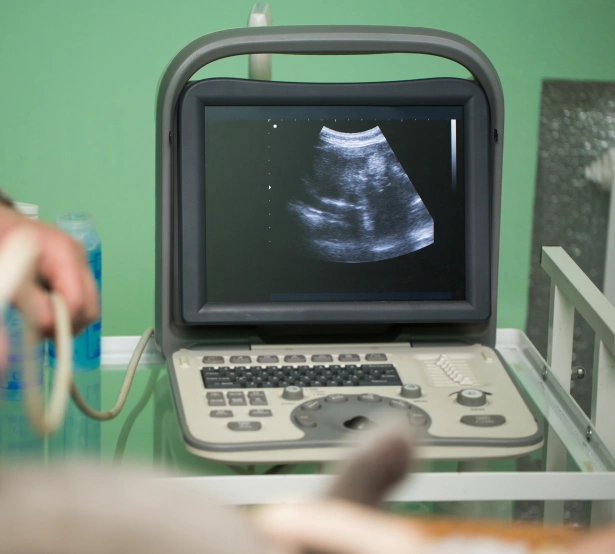 Ultrasound for Dogs